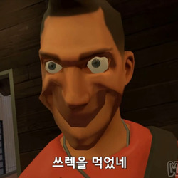 TF2 팀포트리스2 게리모드 스카웃 자막 쓰렉을 먹었네 Mr Pancake I eat crap...