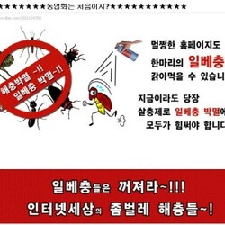 박멸  벌레  일베충들은 꺼져라 좀벌레 해충  해충박멸  해충들 살충제