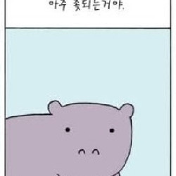 작은 하마 이야기