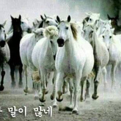 거참 말이 많네 말많네 말 말놀이