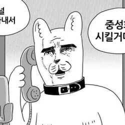 고양이 중성화 전화 널 찾아내서 중성화 시킬거다