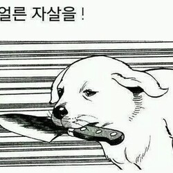 주인님 얼른 자실을 자실 칼 강아지 황당 한심 죽어라