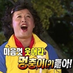 마음껏 웃어라 멍충이 들아 웃어라 정준하 무도