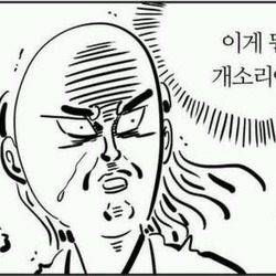 놀람 황당 이게 뭔 개소리야 개소리 이말년 웹툰 깜짝