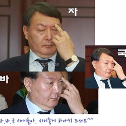 자바국 윤석열 법규