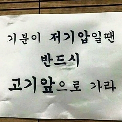 고기압 저기압 고기앞 기분 문구 재미있는