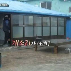 개소리 헛소리 어디서 개소리가나네 개같은 닥쳐 삼시세끼 유해진