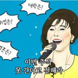 한가위 추석 인사 인사말 명절 풍성 가을 못간다 안가 대학 취업 결혼 질문 백세인생