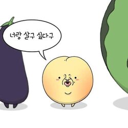 고백 사랑 너랑 살구 싶다구 과일 가지 참외 수박