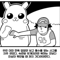 피카추배 피카추 한쪽 입장 통수 사고 진상 파악 팩트 펙트 진실 상황 지켜보자 피카추 배만지는