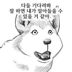 개소리