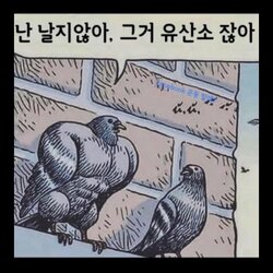 근손실 비둘기 날지않아 유산소 헬창 헬스 헬린이 근육