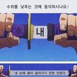 내 눈에 흙이 들어가기 전에 안된다 칼 칼뽑는 수위 낮추는 동의