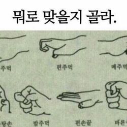 뭐로 맞을지 골라 맞자 주먹 편주멱 메주먹 바탕손 밤주먹 편손끝 바른주먹