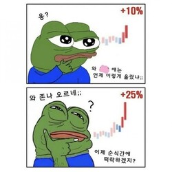 비트코인 개구리 슬개짤 슬픈 코인 주식 페페 떡락 떡상