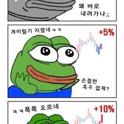 비트코인 개구리 슬개짤 슬픈 코인 주식 페페 떡락 떡상 개미털기 손절