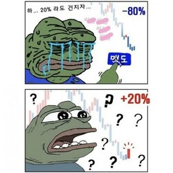 비트코인 개구리 슬개짤 슬픈 코인 주식 페페 떡락 떡상 개미털기 손절 매도 후회