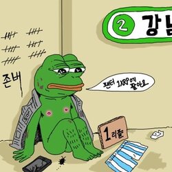 비트코인 개구리 슬개짤 슬픈 코인 주식 페페 떡락 떡상 개미털기 손절 매도 후회 매수 존버 거지 깡통