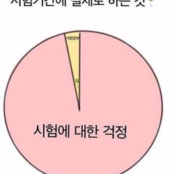 시험 공부 걱정 시험기간 실제 생각 니생각 내생각 공부안함