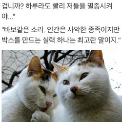 고양이 인간 사악한 멸종 바보같은 종족 박스 실력 최고