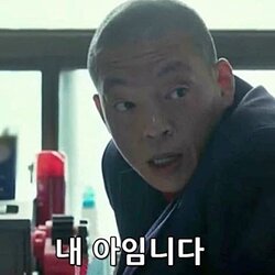 내 아임니다 내아임니다 조선족 범죄 조폭 범죄도시