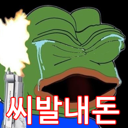 씨발내돈 씨발 내돈 주식 코인 폭락 하락 울음 실패