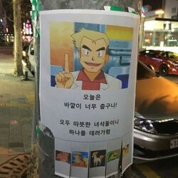 오늘은 바깥이 너무 춥구나 하나를 데려가렴 포켓몬스터