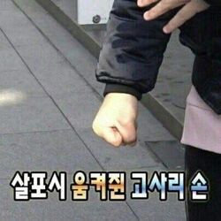 살포시 움켜쥔 고사리손 주먹 분노 부들