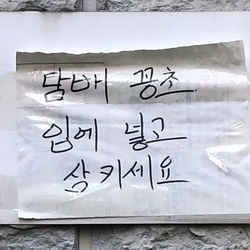 담배 꽁초 입에 넣고 삼키세요 금연 흡연