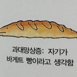 과대망상증 자기가 바게트 빵이라고 생각함