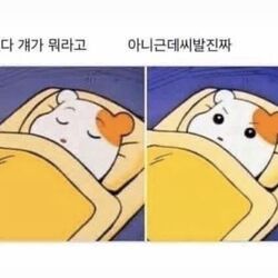 됐다 걔가 뭐라고 아니근데씨발진짜 아니근데 ㅅㅂ ㅆㅂ 벌떡 생각 갑자기