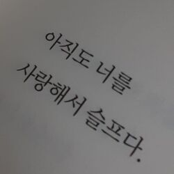 아직도 너를 사랑해서 슬프다