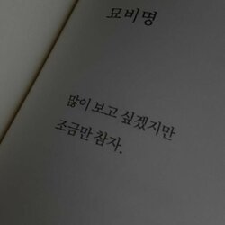 묘비명 많이 보고 싶겠지만 조금만 참자