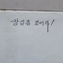 양심좀 있어라 양심챙겨