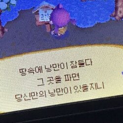 땅속에 낭만이 잠들다 그곳을 파면 당신만의 낭만이 있을지니