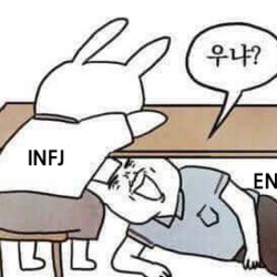 enfp infj mbti