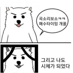 주식 코인 떡상 떡락 상한가 하한가 곡소리 매수타이밍 개꿀 죽음 시체