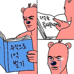 주식으로 1억벌기 2억을 투자한다 주식 떡상 떡락 상한가 하한가