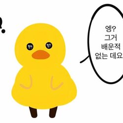 과학 연구 배운적 없는데요 그거