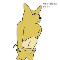 짝찟기나 한판하고 끝냅시다 비켜봐