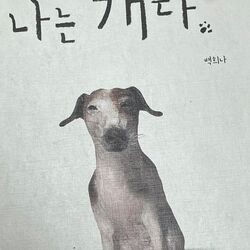 나는 개다 멍멍 나는개다 강아지