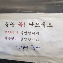 문을 꼭 닫으세요 고양이 좋아 출입 외부인 고양이좋아