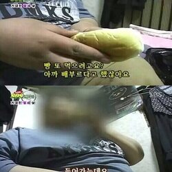 SOS 거대한 열세살 빵 돼지 배부르다고 들어가는데요