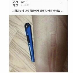 시험공부 너무힘들어 팔에 칼자국 커터칼