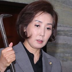 나경원 빠루 국회의원 국민의힘 정치 정치짤