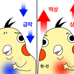 주식짤 껄무새 껄껄 비트코인 껄껄커뮤니티 암호화폐 코인짤 살껄팔껄 주식짤 떡상 급락 상한가 익절 편안 속편안한 안정