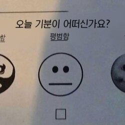 오늘 기분 우울함 평범함 신남