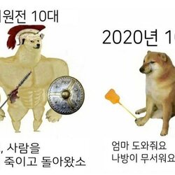 기원전 10대 2020년 10대 비교 근육 시바견 짤방 밈