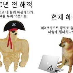 해적 근육 시바견 300년전 현재 현재해적 럼주 마인크래프트