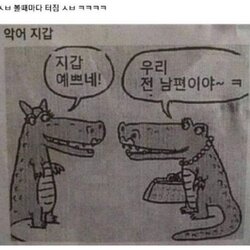 악어 가죽 지갑 예쁘네 우리 전 남편이야 전남편 악어가죽